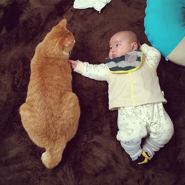 kazuyonさんの実例写真