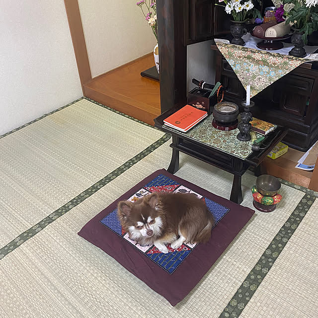 chIoeさんの実例写真