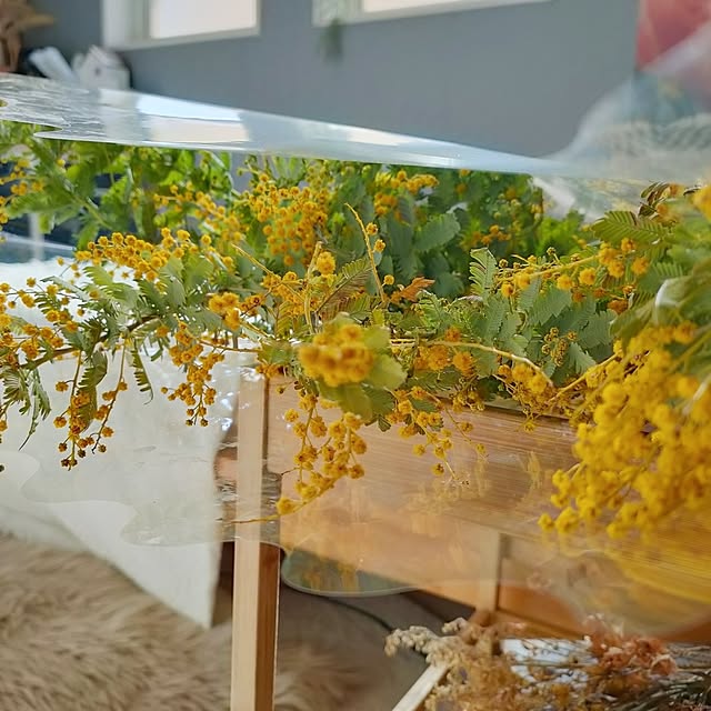 YUKKIさんの部屋