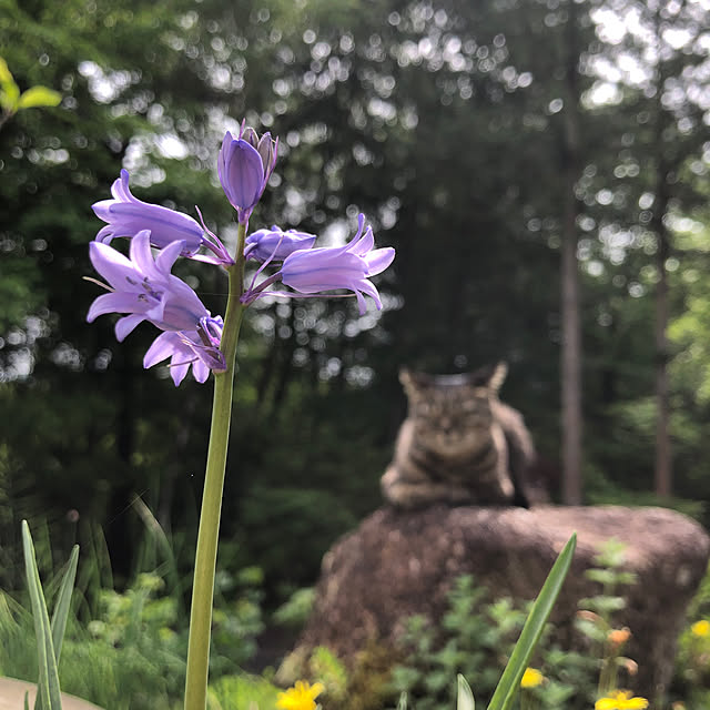weさんの実例写真