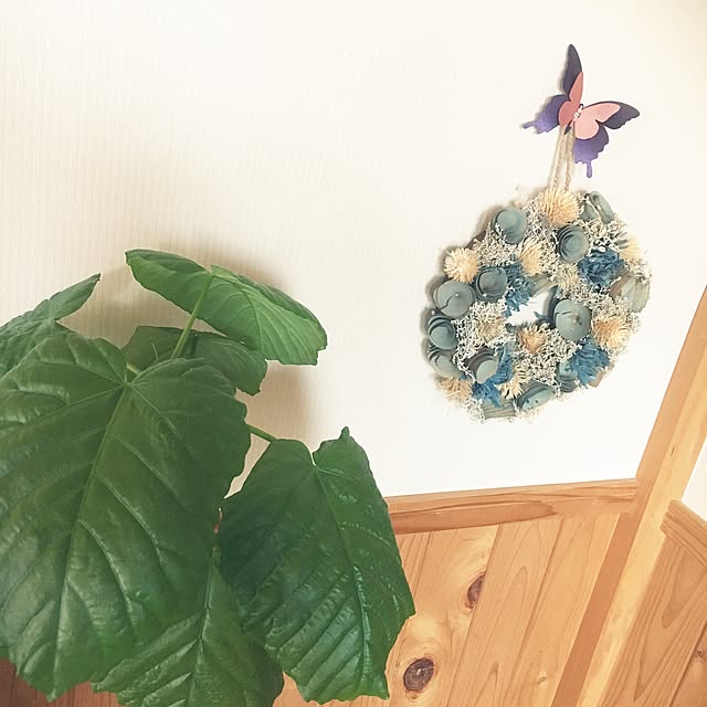 pu-toraさんの実例写真