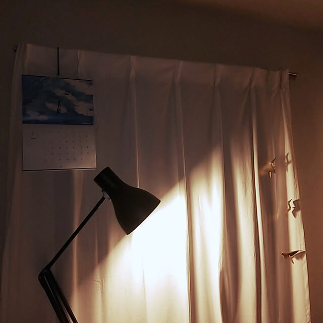 loloさんの実例写真