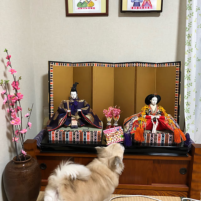 momomiさんの実例写真