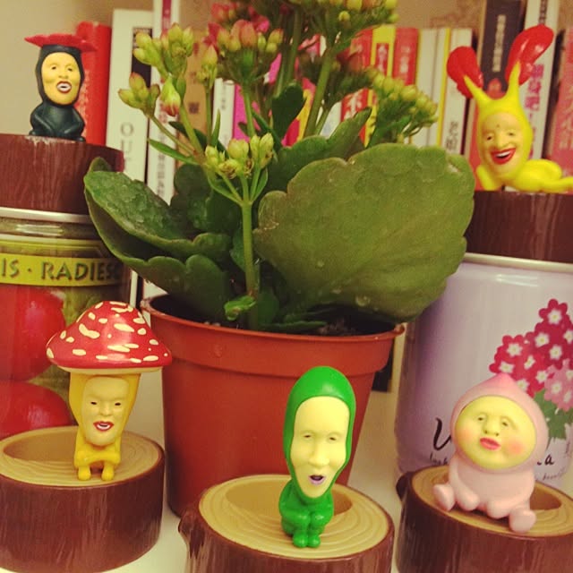 miさんの実例写真