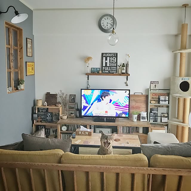 beansさんの実例写真