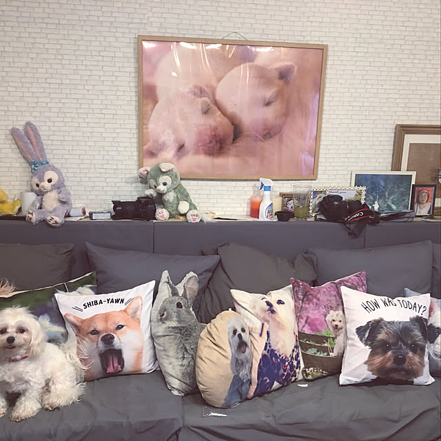 konohaさんの実例写真