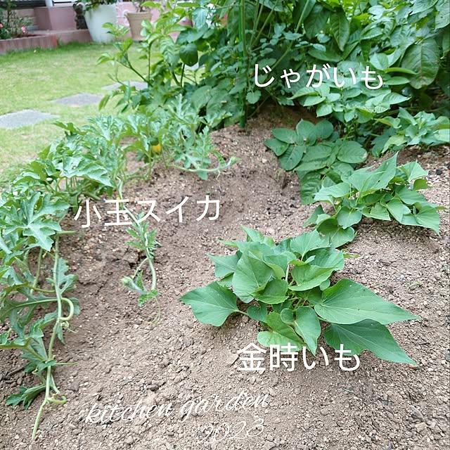 fleur-mamanさんの部屋