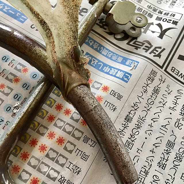 kinakomotiさんの実例写真