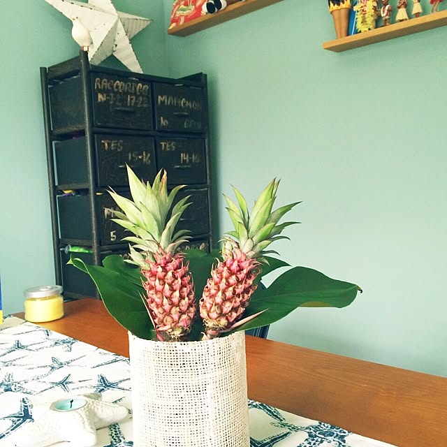 alohaさんの実例写真