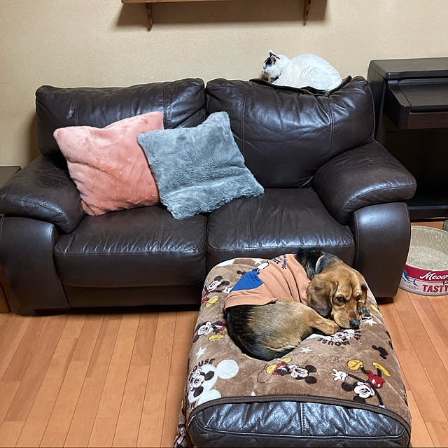 yukiさんの実例写真
