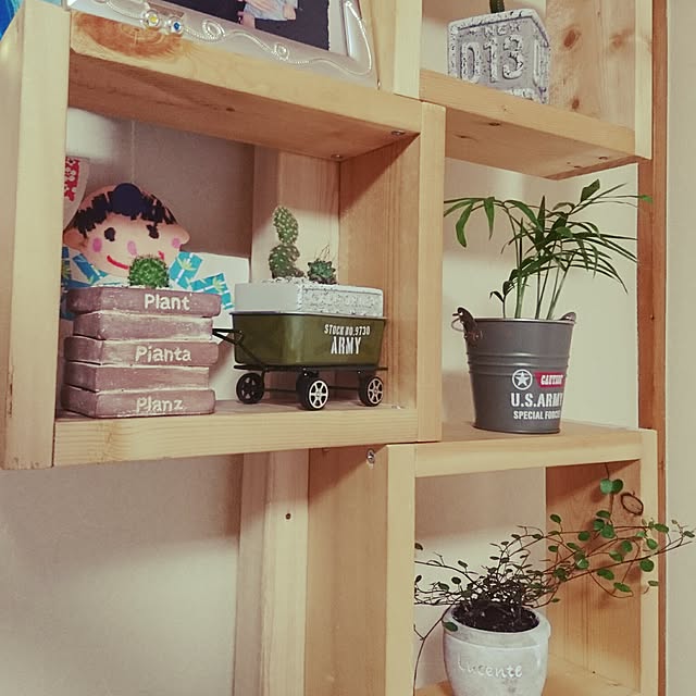 cocosatsuさんの実例写真
