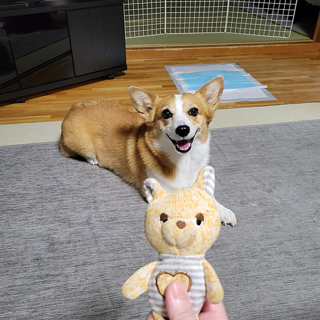 akimameさんの実例写真