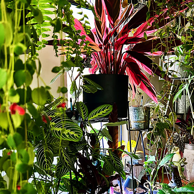 DAYONEさんの実例写真