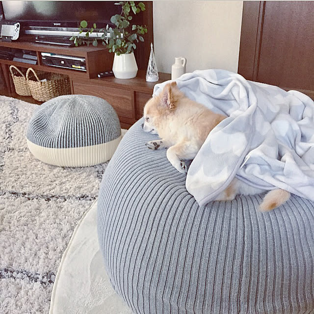 ponさんの実例写真