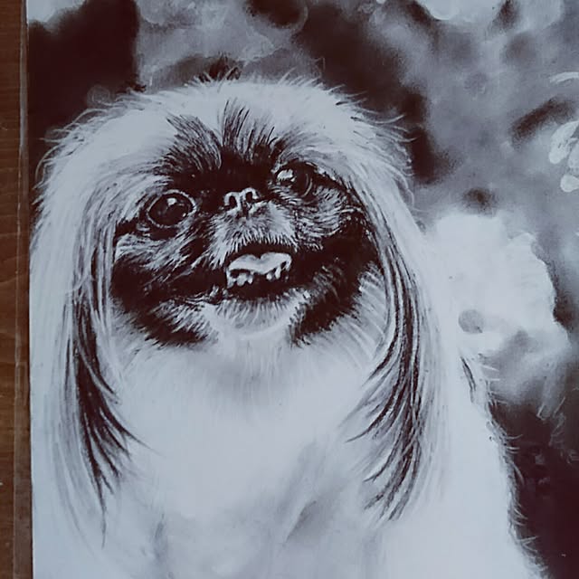 kiyosukeさんの実例写真