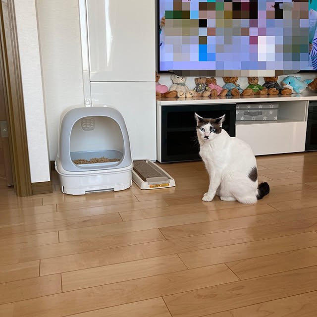 ryu-eiさんの実例写真