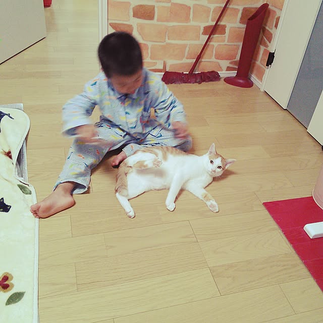 pouさんの実例写真