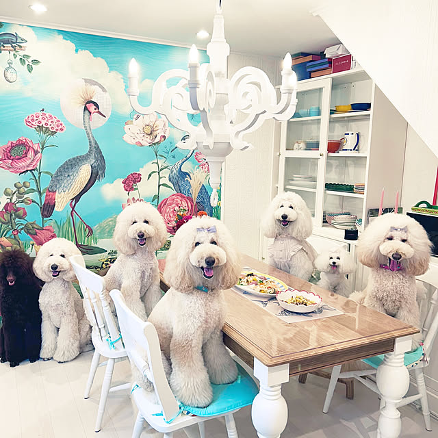 nackeyさんの部屋