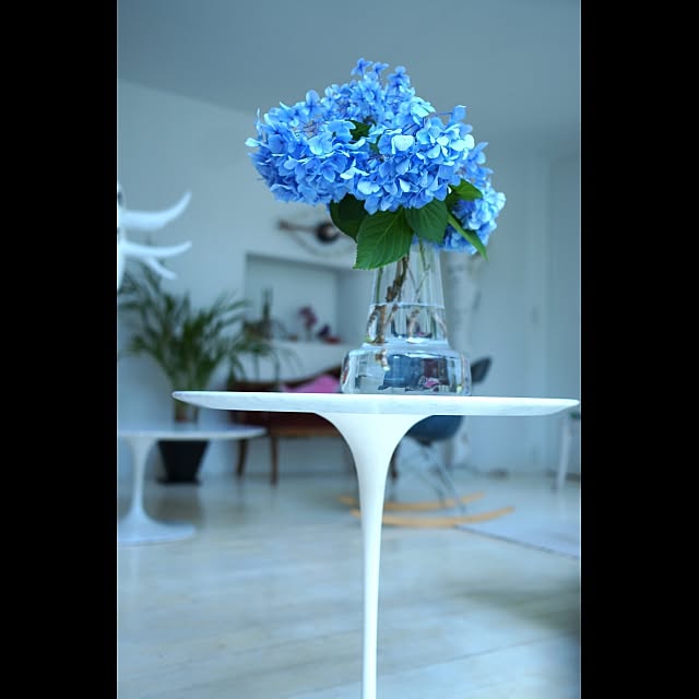 Design papa Ka-tuさんの実例写真