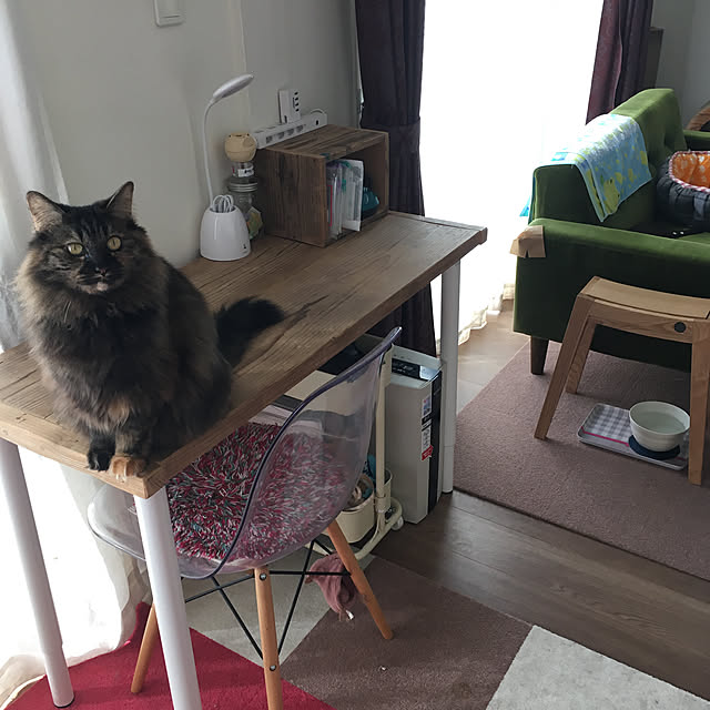 mikomaruさんの実例写真