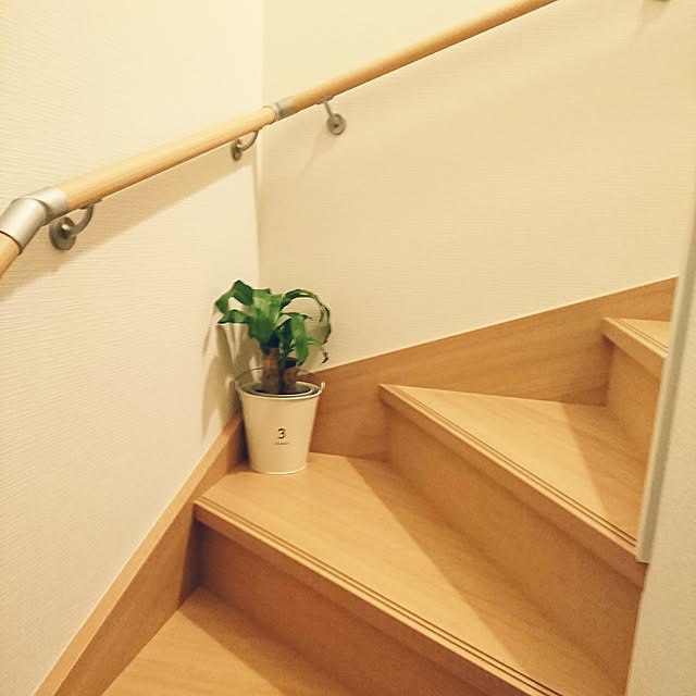 okyanさんの実例写真