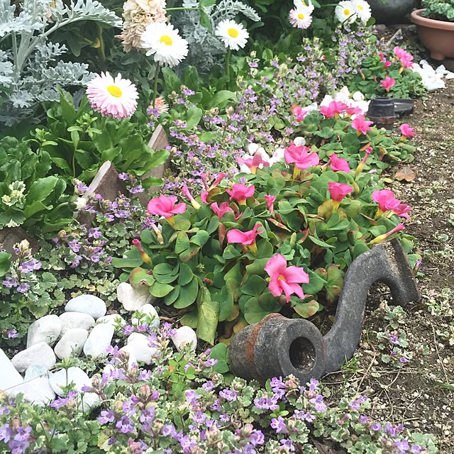 bibianさんの実例写真