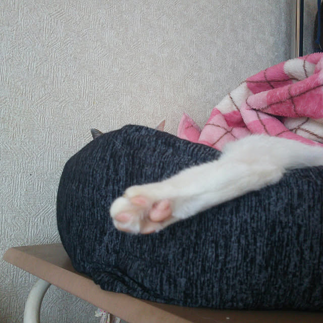 tenさんの実例写真