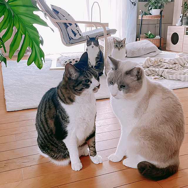 milkcocoaさんの部屋