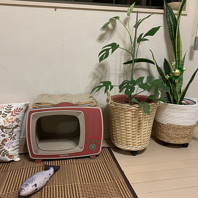 Toyomiさんの実例写真