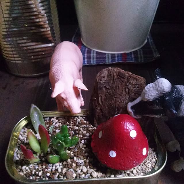 oliveさんの実例写真