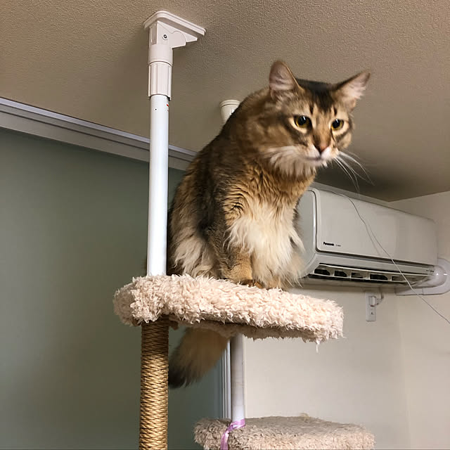 meさんの実例写真
