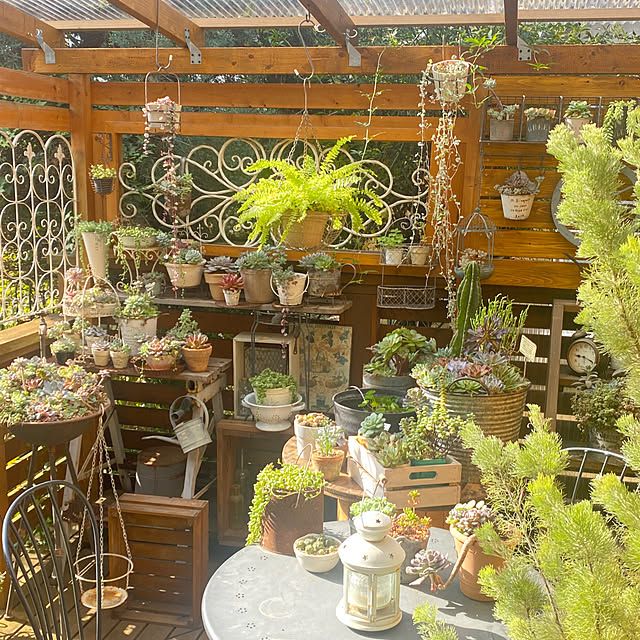 mintteaさんの部屋