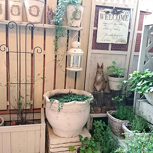 LOHAさんの実例写真