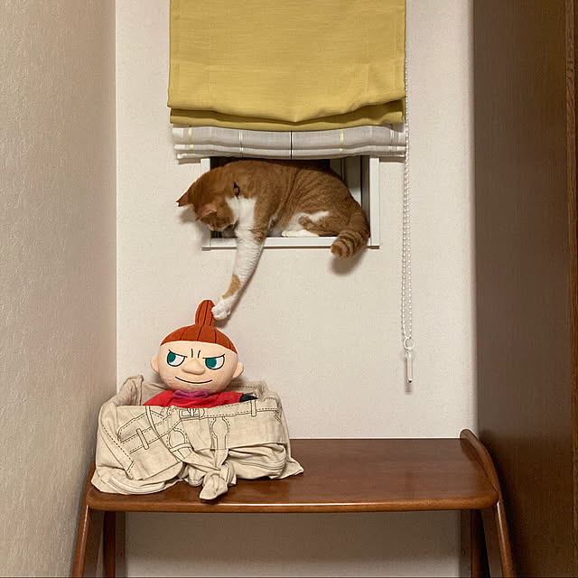 mkmkmoominさんの実例写真