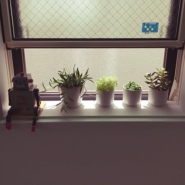 実例写真