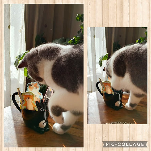 KEIKOさんの実例写真