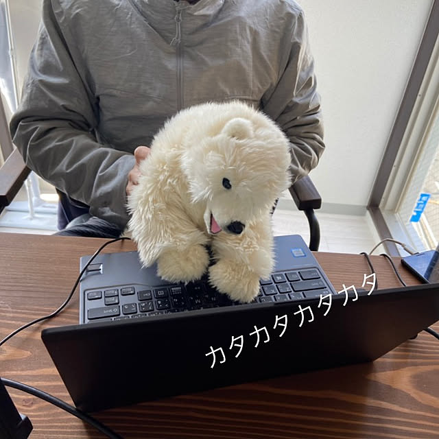 sinsinさんの実例写真