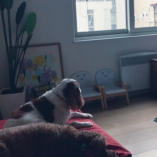 sachi626さんの実例写真