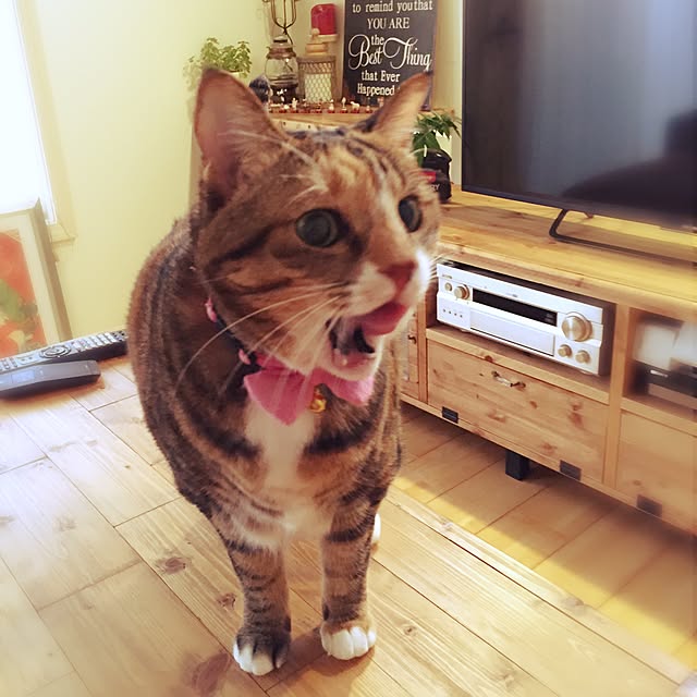 maguuさんの実例写真