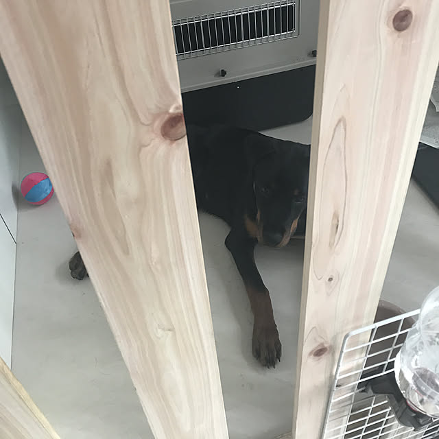darling0826さんの実例写真