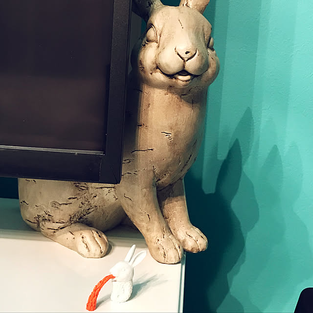 kanaさんの実例写真