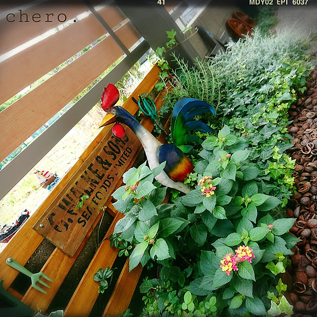 chero.さんの実例写真