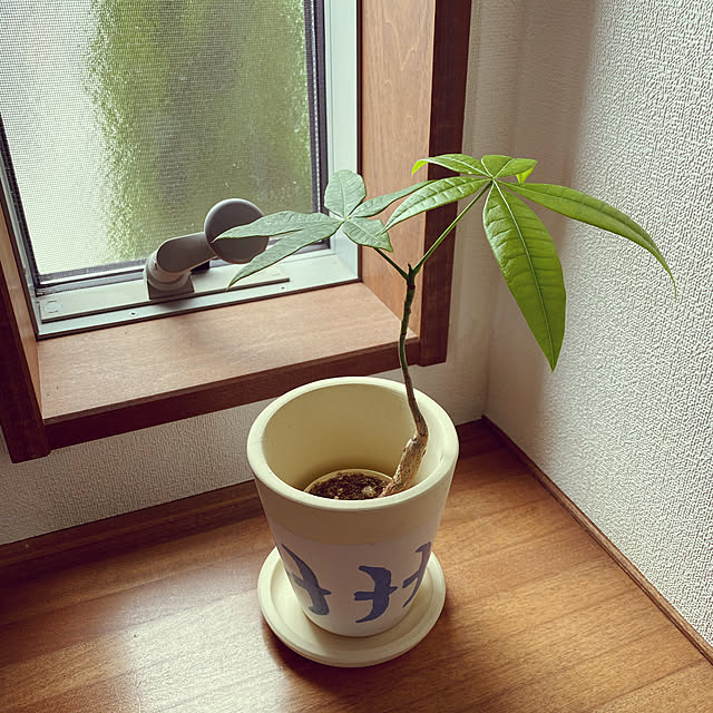 Yukariさんの実例写真