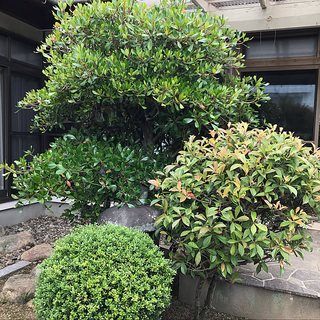 kurumamさんの実例写真