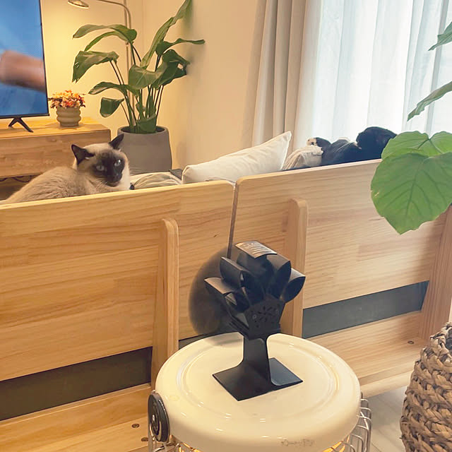 hirokoさんの部屋