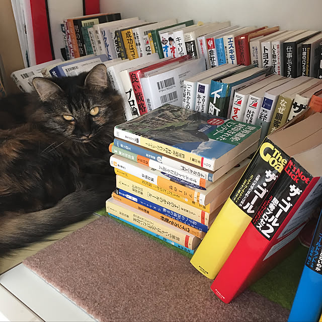 mikomaruさんの実例写真