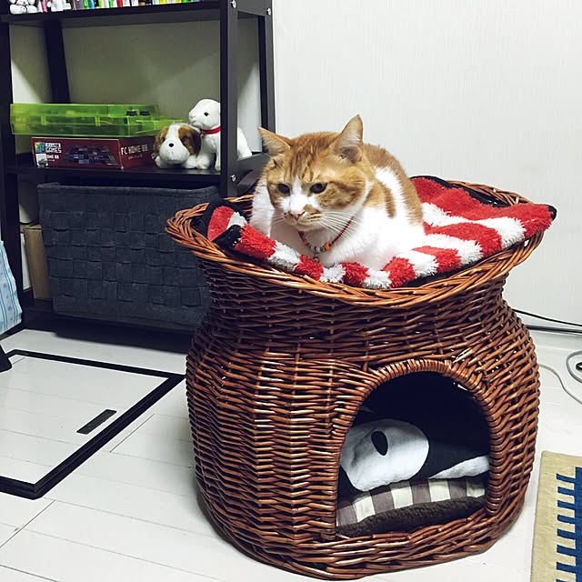 nyanyakoさんの実例写真