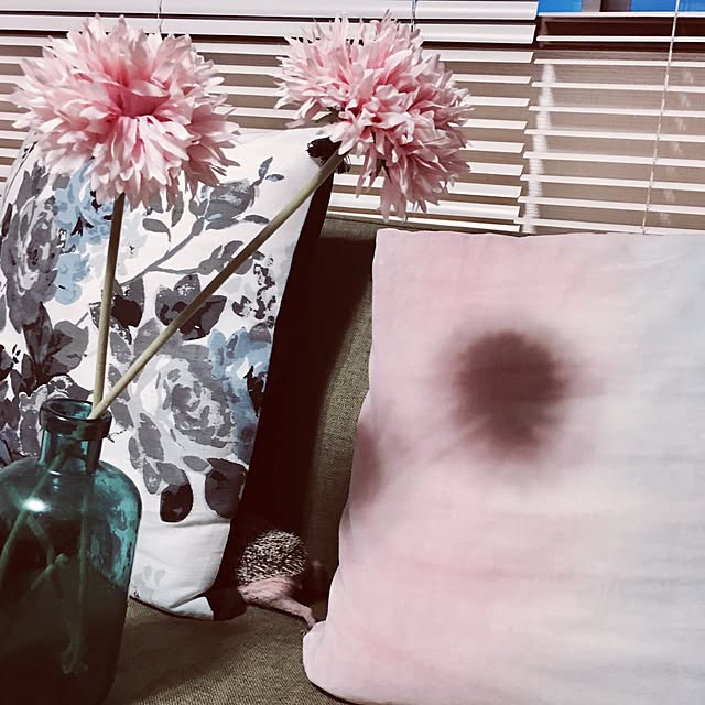 saokoさんの実例写真