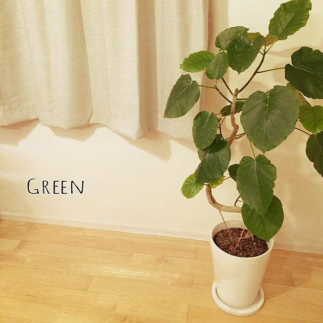 iccoさんの実例写真