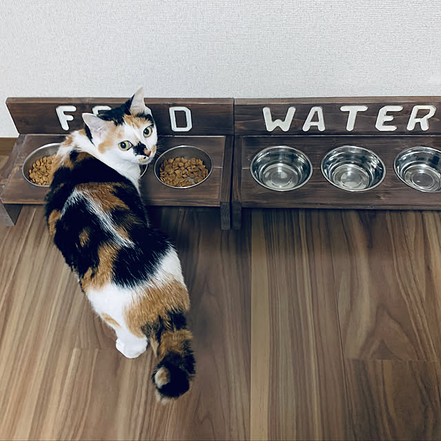 momoyamaさんの実例写真